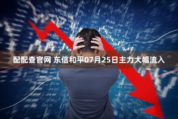 配配查官网 东信和平07月25日主力大幅流入