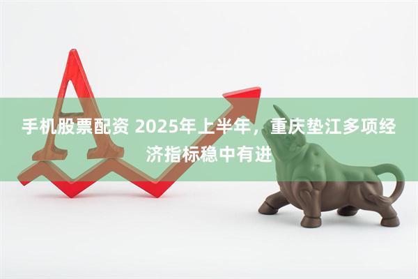 手机股票配资 2025年上半年，重庆垫江多项经济指标稳中有进