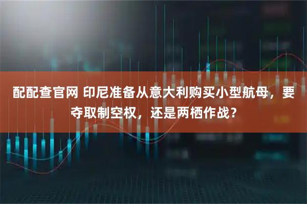 配配查官网 印尼准备从意大利购买小型航母，要夺取制空权，还是两栖作战？