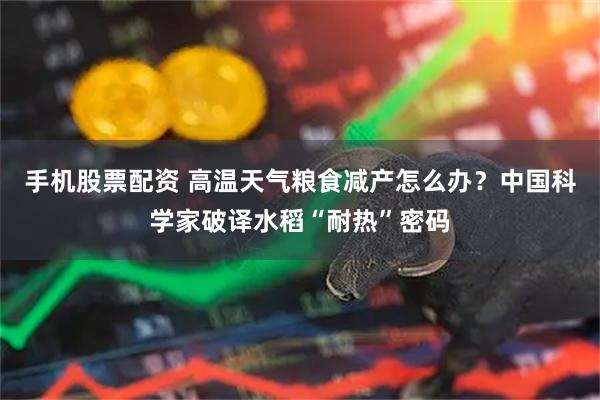 手机股票配资 高温天气粮食减产怎么办？中国科学家破译水稻“耐热”密码